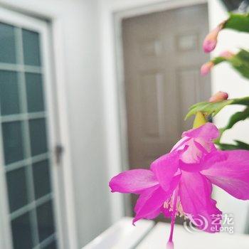 �ɶ��褹�Ԣ(�����Ŷ�һ·�ֵ�)�Ƶ��ṩͼƬ