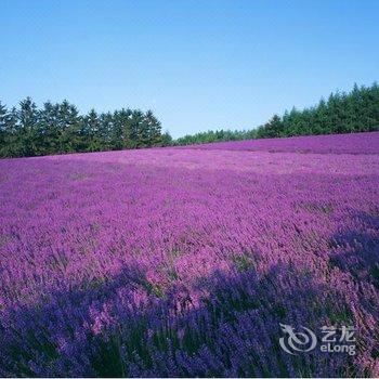 肇庆盘龙峡森林海度假木屋酒店提供图片
