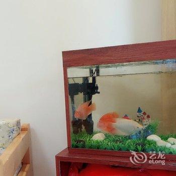 南宁蓝灵枝公寓酒店提供图片