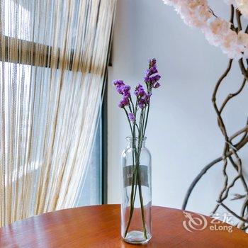 成都玖克拉公寓酒店提供图片