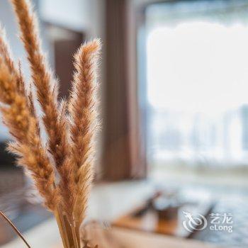 西安天山来客(00114350)公寓酒店提供图片