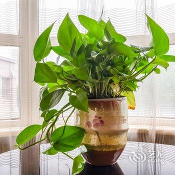 伴天民宿(北京南湖南路北口分店)酒店提供图片