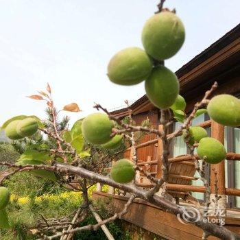 易县易水湖养生岛酒店酒店提供图片