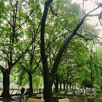 成都宁小娜公寓酒店提供图片