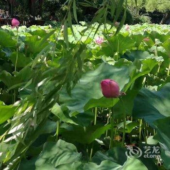 成都tinsha公寓酒店提供图片