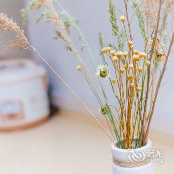青岛张大胆公寓(4号店)酒店提供图片