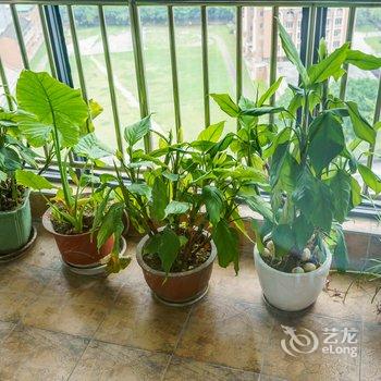 成都｛闺.蜀｝成都民宿(福宝美术馆分店)酒店提供图片