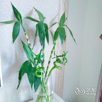 重庆zz妞之家公寓(双龙湖公园分店)酒店提供图片