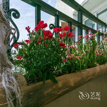 成都花嘟嘟公寓(石人南路分店)酒店提供图片