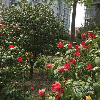 青岛手有余香公寓酒店提供图片