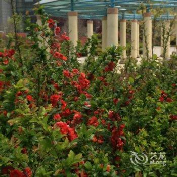 青岛手有余香公寓酒店提供图片