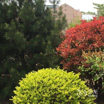 青岛手有余香公寓酒店提供图片