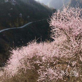 新乡关山磊鑫饭莊农家乐特色民宿酒店提供图片