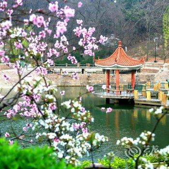 青岛北岭山公寓酒店提供图片