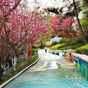 青岛北岭山公寓酒店提供图片