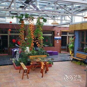 北京老怀树特色民宿酒店提供图片