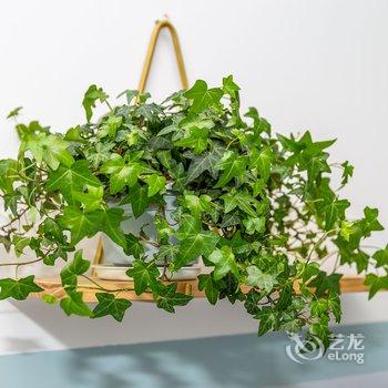 广州大猫(00136020)公寓(云桂村分店)酒店提供图片