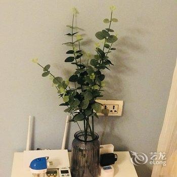 重庆自然醒haveagoodnight公寓(8号店)酒店提供图片