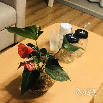 重庆自然醒haveagoodnight公寓(8号店)酒店提供图片