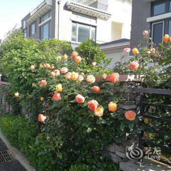 威海沁叶度假别墅(威海市群众艺术馆分店)酒店提供图片