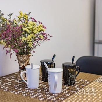 成都黑色的光公寓(伏龙村分店)酒店提供图片