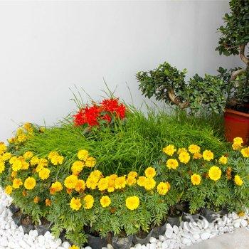 北京玉娇客栈酒店提供图片