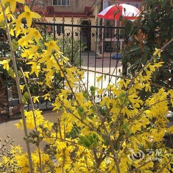 青岛赵群客栈酒店提供图片