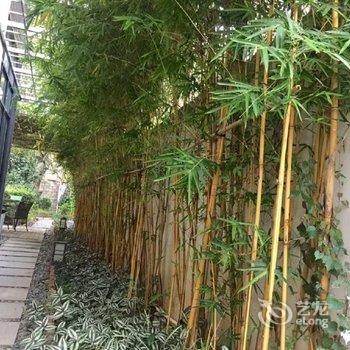 广州从化假日温泉之家公寓(温泉大道云星路分店)酒店提供图片