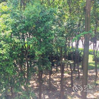 上海浪迹天涯公寓(乳山新村分店)酒店提供图片