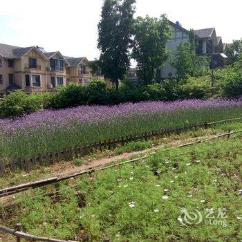 西安隐居.山间花园度假别墅酒店提供图片