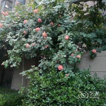 西安终南清心郡郡主公寓(熊孩子儿童乐园分店)酒店提供图片