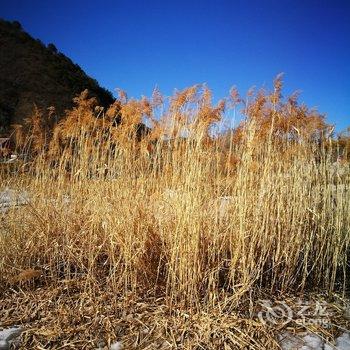 快乐民宿(北京汤河村店)酒店提供图片