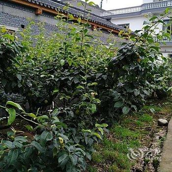 天台逢观民宿酒店提供图片