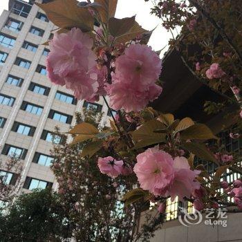 恩施阳洋民宿(六合路分店)酒店提供图片