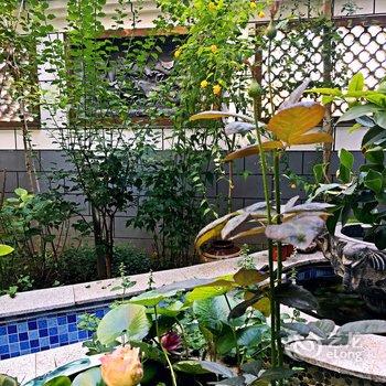 西安沙漠狐度假别墅酒店提供图片