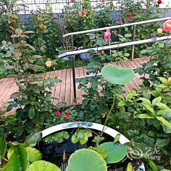 西安沙漠狐度假别墅酒店提供图片