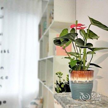 舟山心屿青年旅舍酒店提供图片