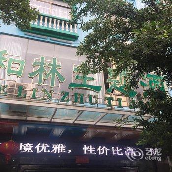 文昌和林主题酒店酒店提供图片