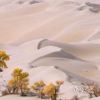 敦煌唐人山庄沙漠露营基地酒店提供图片