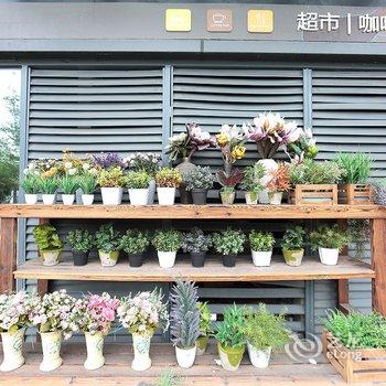 上海尚之家公寓(李家村分店)酒店提供图片