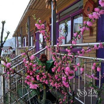 北京张兴龙公寓酒店提供图片