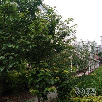 ����ȫ��ͨ��Ԣ�Ƶ��ṩͼƬ