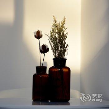 北京设计师四合院民宿酒店提供图片