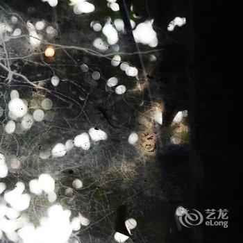 北京设计师四合院民宿酒店提供图片