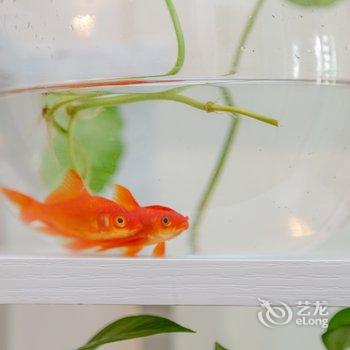 成都笑笑公寓酒店提供图片