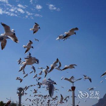 昆明子虞轩客栈酒店提供图片