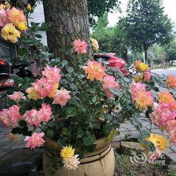 成都青城山红源客栈(青景村分店)酒店提供图片