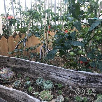 枣庄若溪度假别墅酒店提供图片