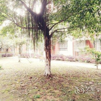 成都丹大哥公寓酒店提供图片