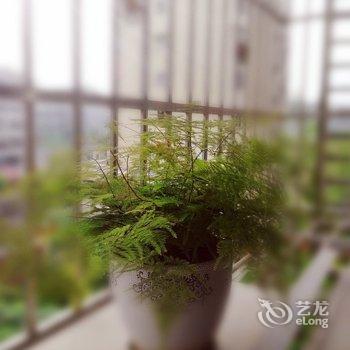 成都丹大哥公寓酒店提供图片